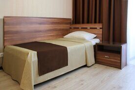 Одноместный номер Standard односпальная кровать, Парк-отель Пушкин, Бузулук