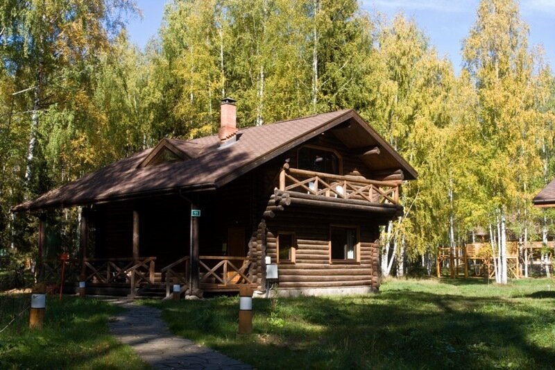 Романов лес, Костромская область: фото 2