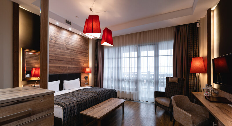 Стандарт 2-местный вид на горы