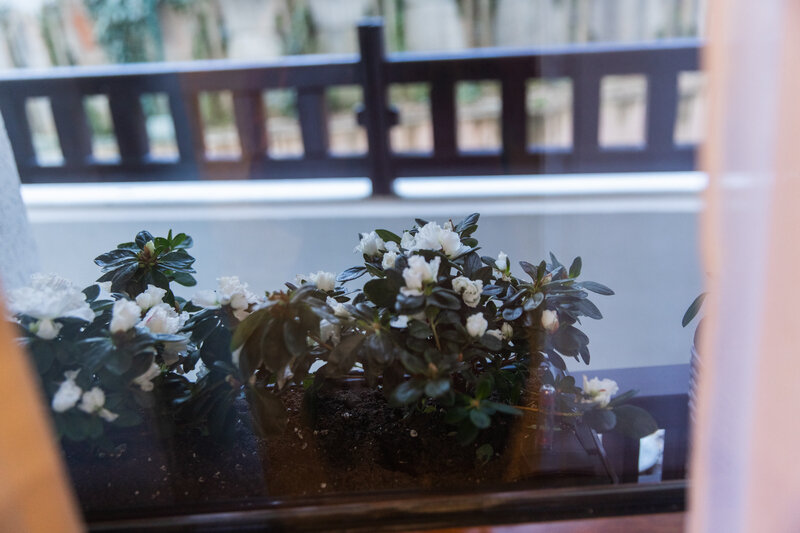 Апартаменты 2-местный 1-комнатный (23,4 кв.м)