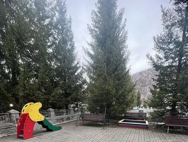 Less, Алтайский край: фото 5