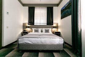 Двухместный номер Classic с красивым видом из окна двуспальная кровать, Парк-отель Миллвуд, Брянский район