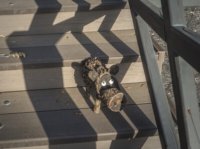 Афрейм 4-местный 1-комнатный