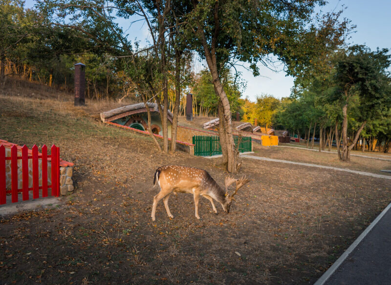 Дом Хоббит 2-местный 1-комнатный