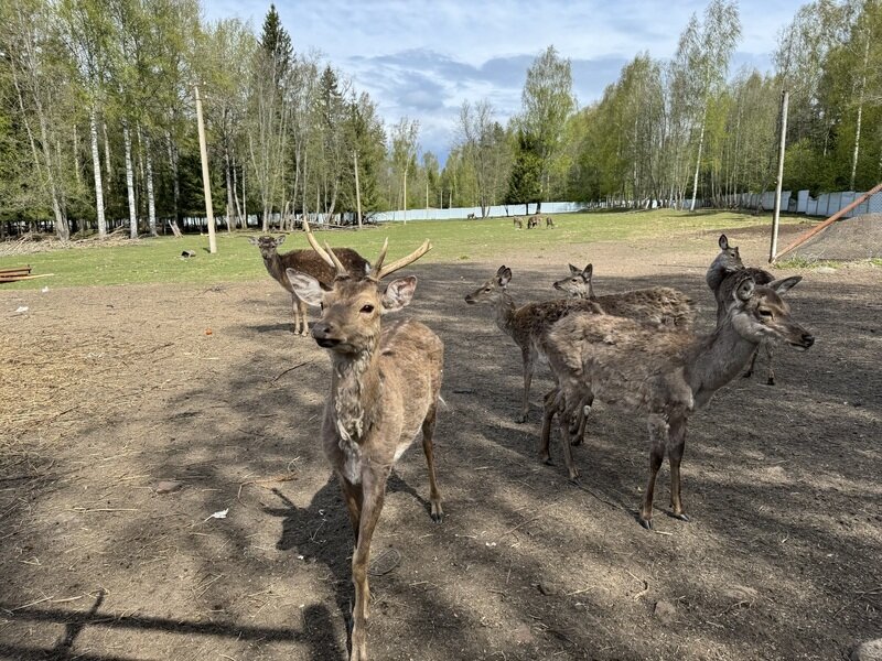 Фото 2 из отзыва о рыболовно-охотничьей базе Ухра