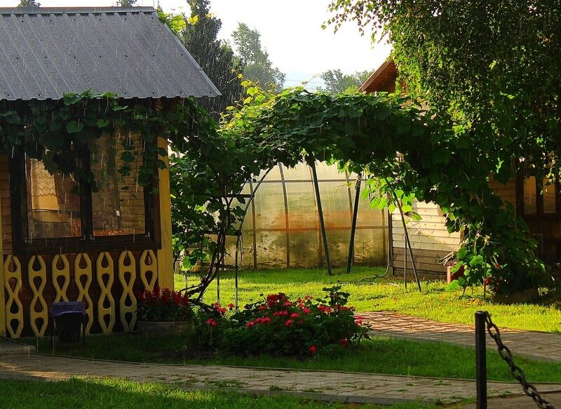 Гостевой дом ВТС, Алтайский край, село Ая 