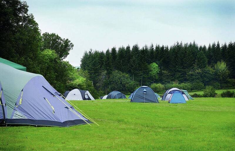 Кемпинг Ферма Мартьянково, Московская область, Пушкинский район Софрино Москва