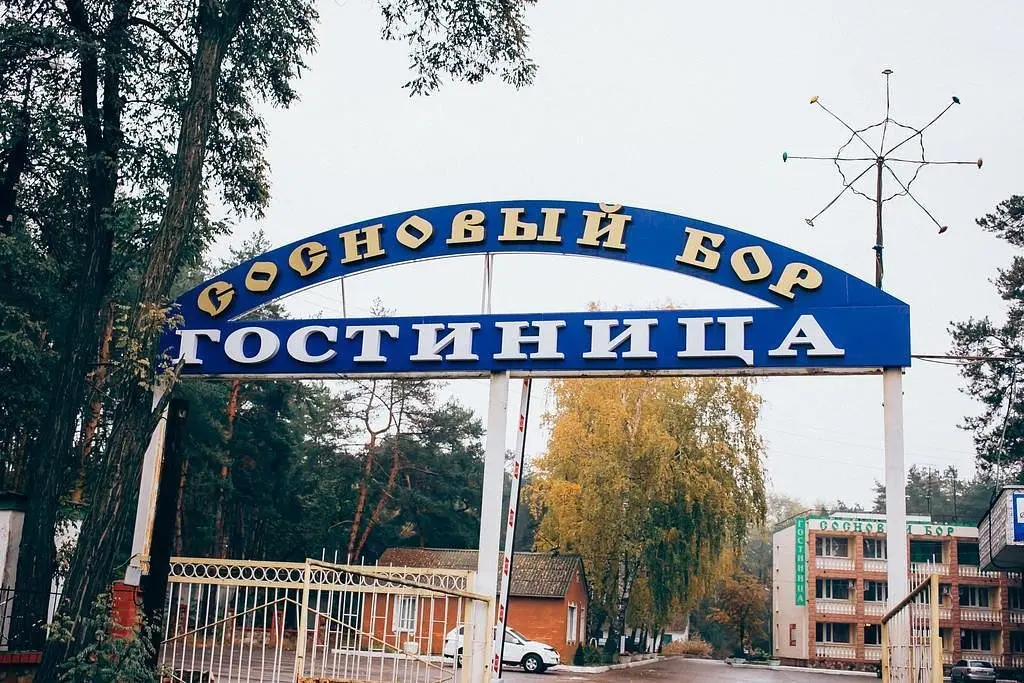 Сосновый бор, Курская область: фото 5