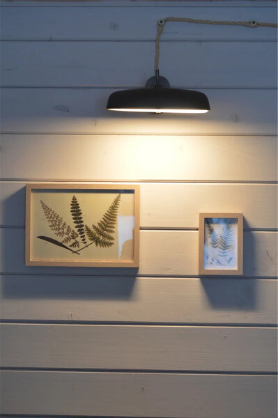 Номер 1-комнатный (Папоротник в доме Трав)