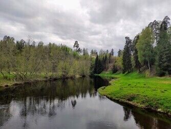 Река Оредеж