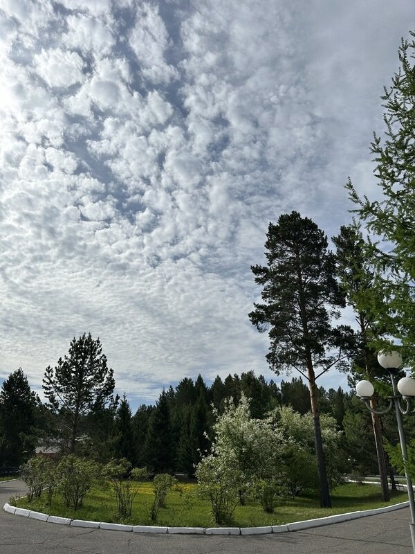 Фото 2 из отзыва о санатории Электра