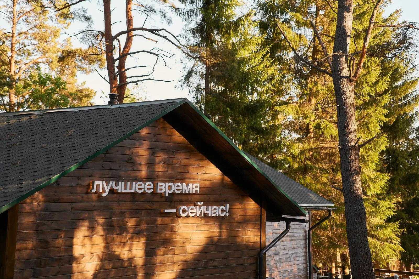 VIEW GA Волочаевка, Ленинградская область: фото 4