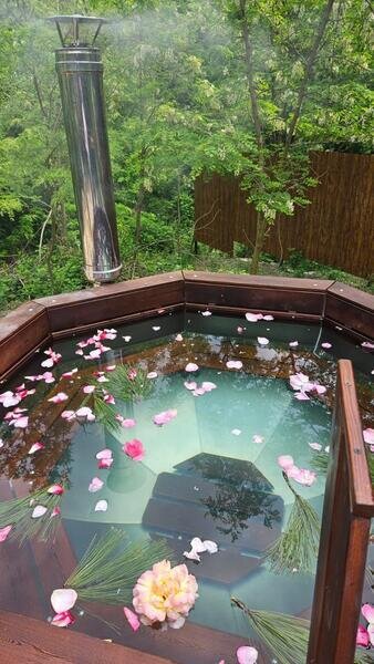 Дом 4-местный Семейный (Сафари)