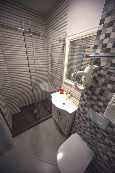 Полулюкс 3-местный 1-комнатный