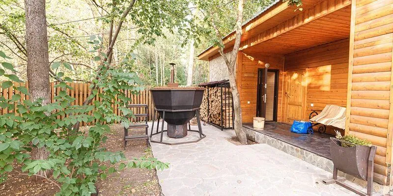 Сосны, Оренбургская область: фото 4