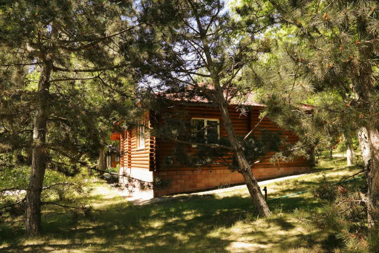 Коттедж 2-местный стандартный