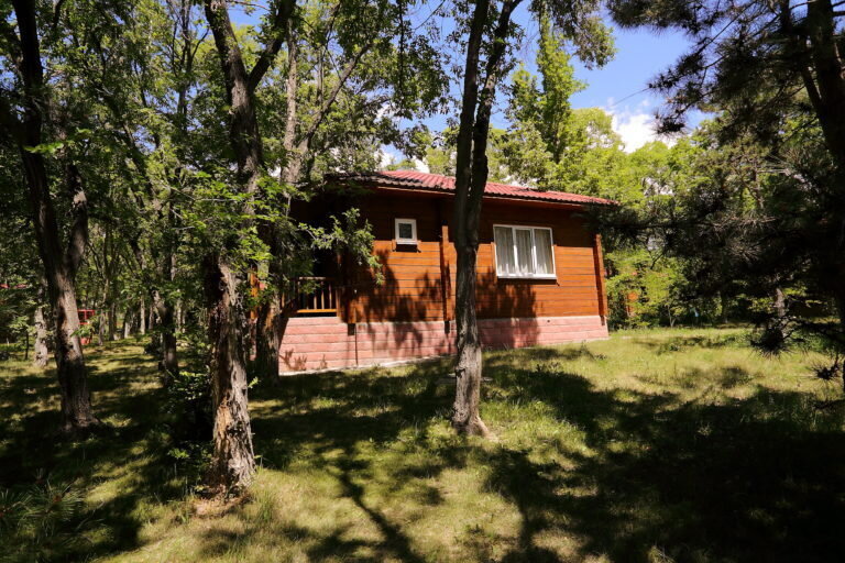 Коттедж 2-местный стандартный