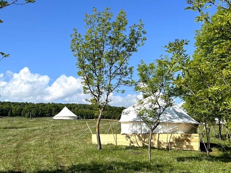 Глэмпинг Медовые холмы, Ставропольский край, Кисловодск Кисловодск Предгорный район
