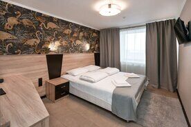 Двухместный номер Стандарт плюс двуспальная кровать, СПА-отель Гелиос, Зеленогорск