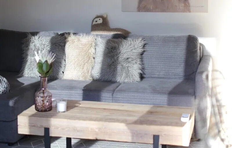 Дом 2-местный 2-комнатный (с камином и террасой)