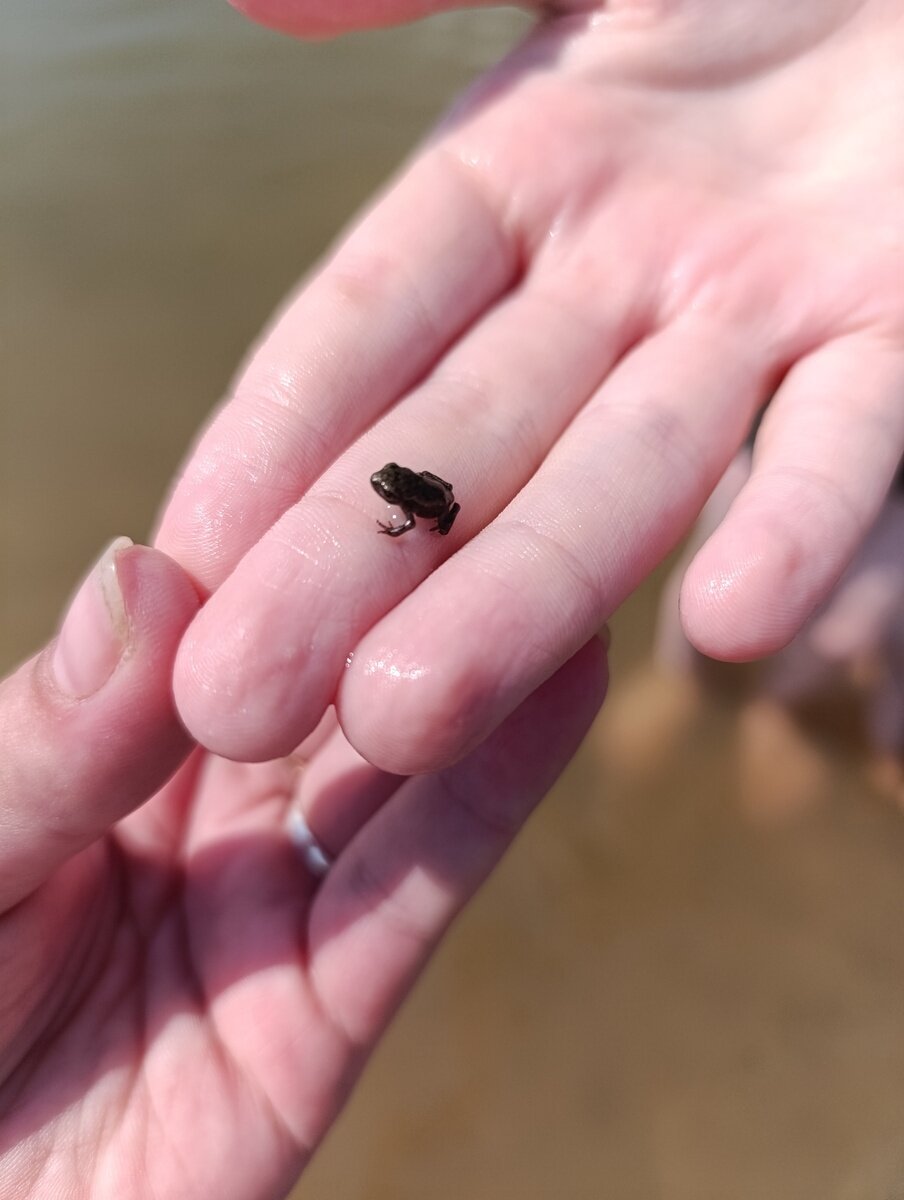 Фото 10 из отзыва о базе отдыха Парк отдыха Белогорье