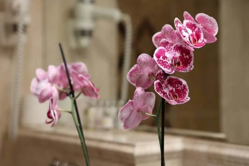 Люкс 2 местный