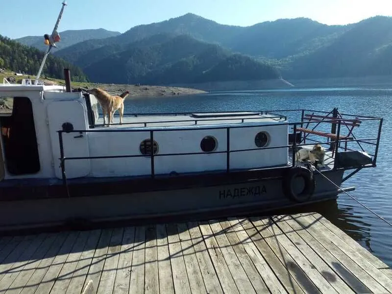 Марлин, Республика Хакасия: фото 5