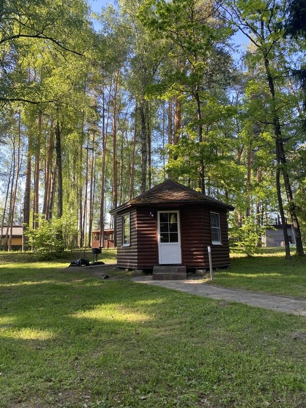 Ruza Forest, Московская область: фото 2