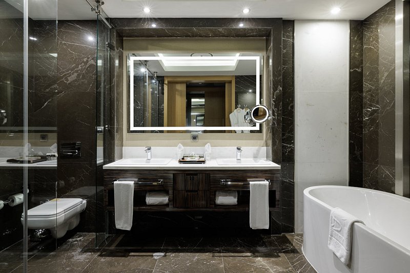 Делюкс 2-местный ТВИН (вид на горы)