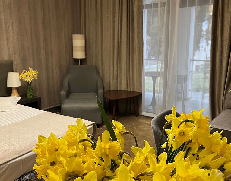 Делюкс 2-местный 1-комнатный (с балконом)