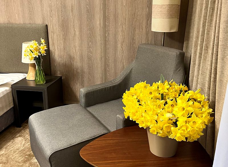 Делюкс 2-местный 1-комнатный (с балконом)