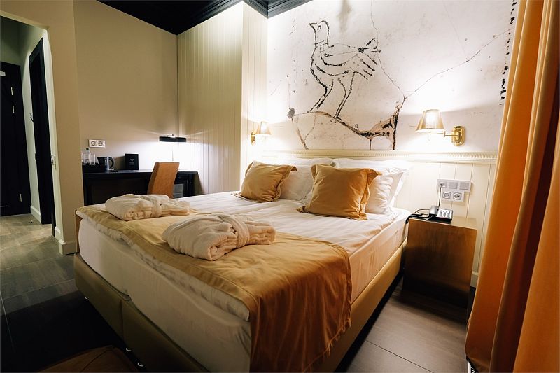 Эконом 2-местный (Бизнес)