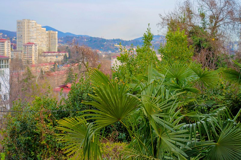 Стандартный 2-местный 1-комнатный