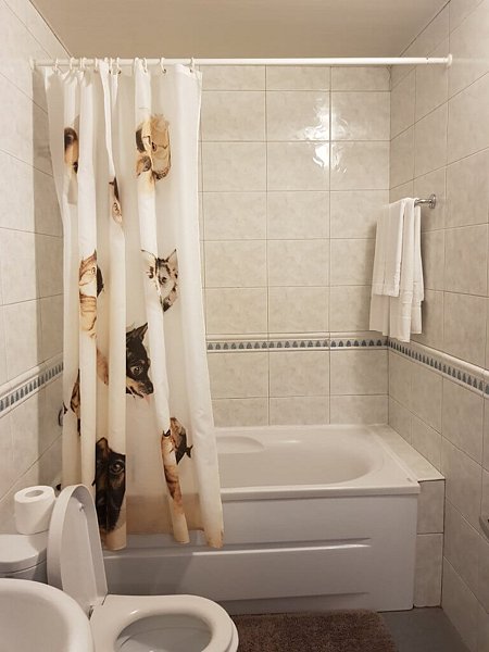 Стандартный плюс 2-местный (TWIN мансардный Мини-сити)