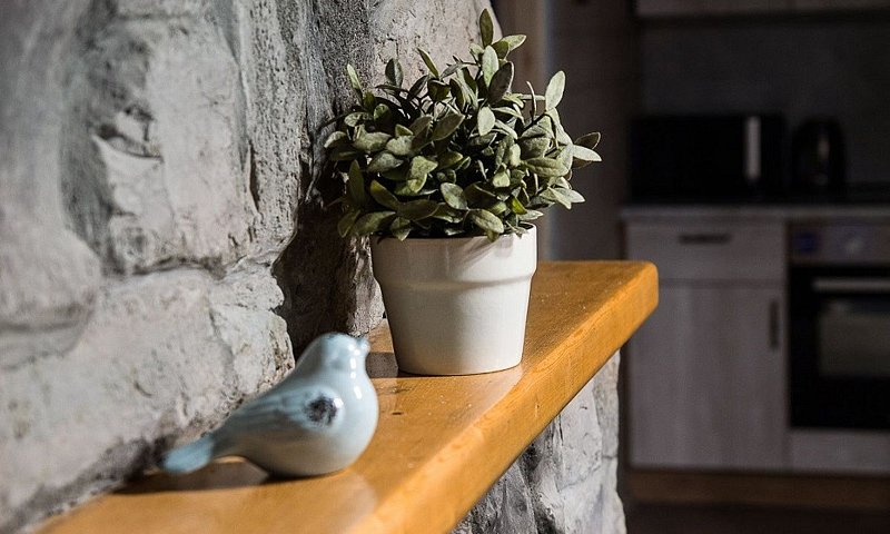 Дом Охотника 6-местный 2-комнатный