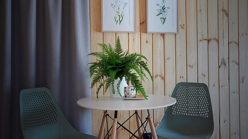 Дом Эко 2-местный 1-комнатный (у воды)