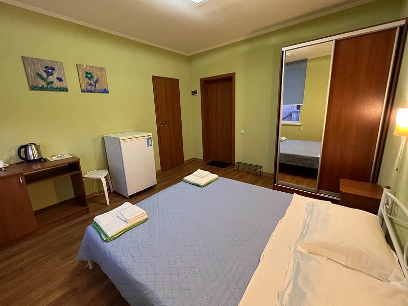 Номер 2-местный 1-комнатный (с двуспальной кроватью, вид на природу)