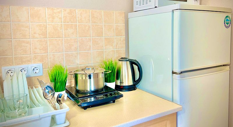 Семейный 2-местный 1-комнатный (с кухней и беседкой)