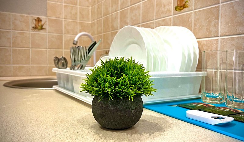 Семейный 2-местный 1-комнатный (с кухней и беседкой)