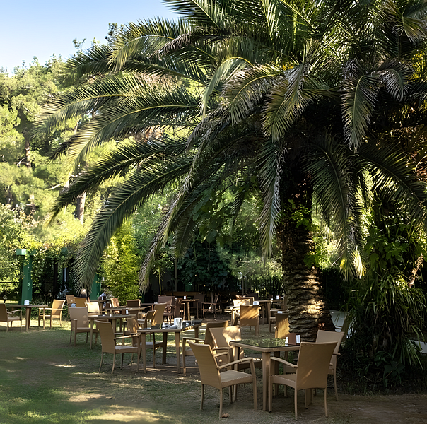 Апсара, Гагрский район: фото 5