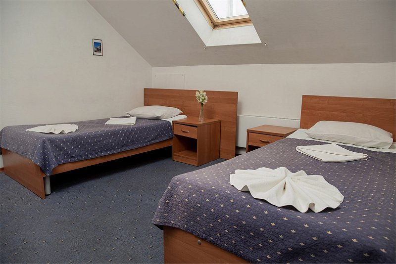 Эконом 2-местный 1-комнатный (Мансарда)