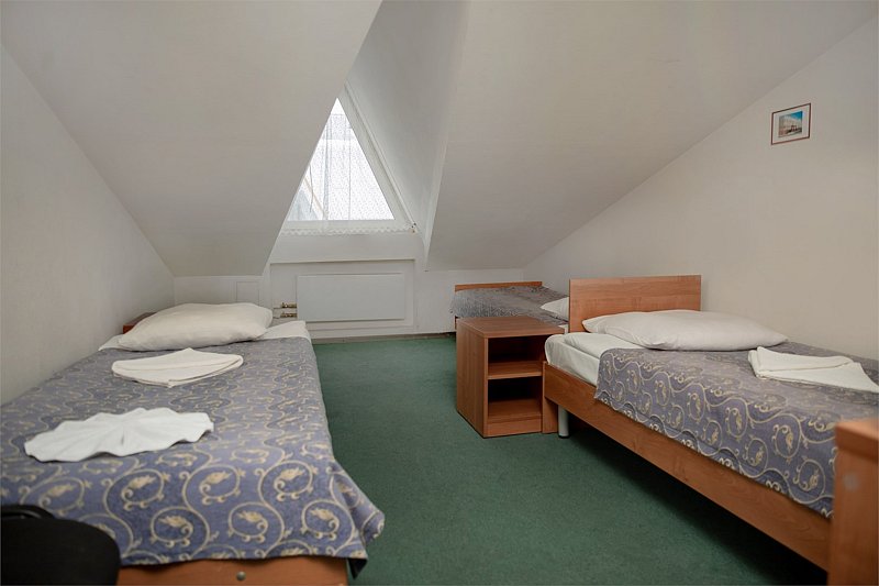 Эконом 2-местный 1-комнатный (Мансарда)