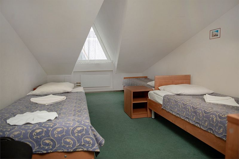 Эконом 2-местный 1-комнатный (Мансарда)