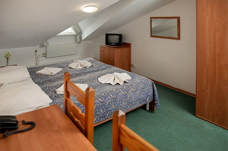 Эконом 2-местный 1-комнатный (Мансарда)