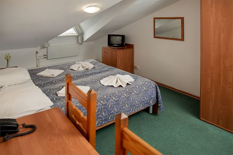 Эконом 2-местный 1-комнатный (Мансарда)