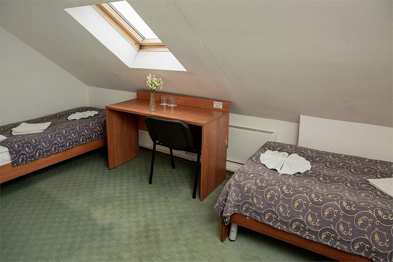 Эконом 2-местный 1-комнатный (Мансарда)