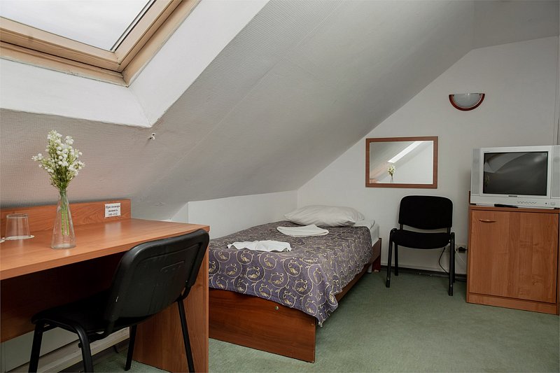 Эконом 2-местный 1-комнатный (Мансарда)