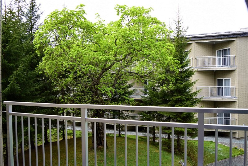 Стандартный 2-местный (TWIN)