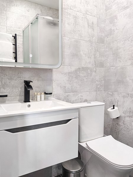 Делюкс 4-местный (4)