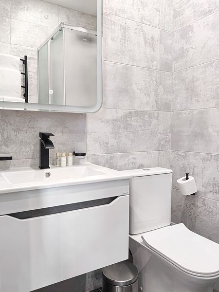 Делюкс 4-местный (4)